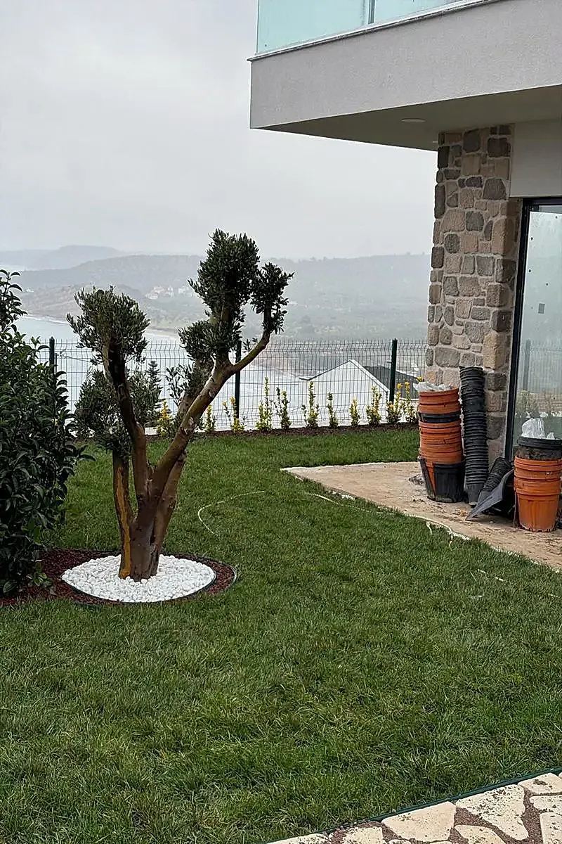 Assos Villa Rulo Çim Serim Süreci