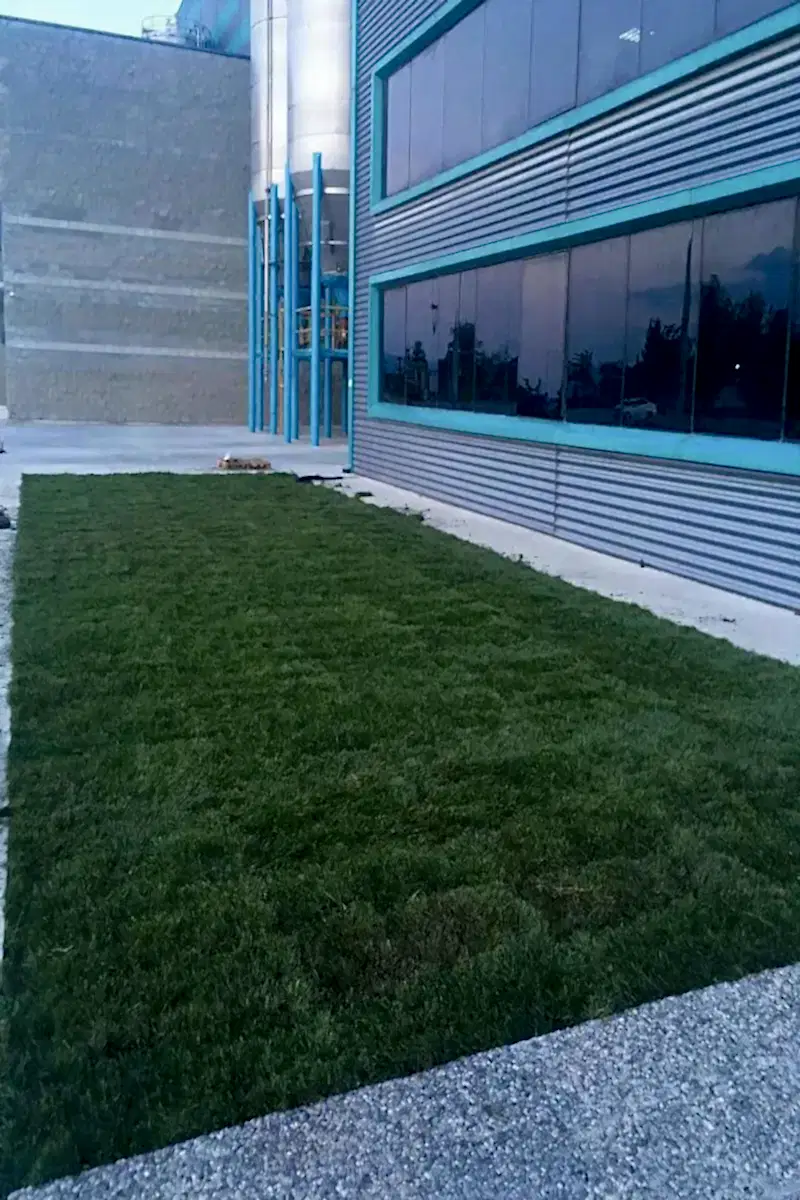 Varaka Kağıt Fabrikası